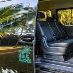 Cairns to Daintree Eco Lodge ONE WAY Private Transfer 6 pax - A Deep Dive into the Cairns to Daintree Eco Lodge Transfer Experience