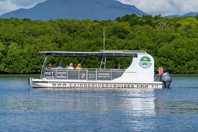 Cairns Trinity Inlet Sightseeing Safari - The Experience in Detail