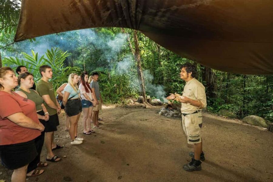 Cairns: Wildlife Habitat, Mossman Gorge, and Daintree Tour - Starting the Day: Convenient Pickup and Eco-Friendly Transport