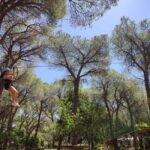 Cala Gonone Adventure: adventure park entry ticket! - Why This Tour Offers Great Value