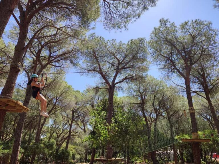 Cala Gonone Adventure: adventure park entry ticket! - Why This Tour Offers Great Value