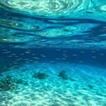 Cala Gonone: Snorkeling in the Orosei Gulf - An In-Depth Look at Cala Gonone’s Snorkeling Tour