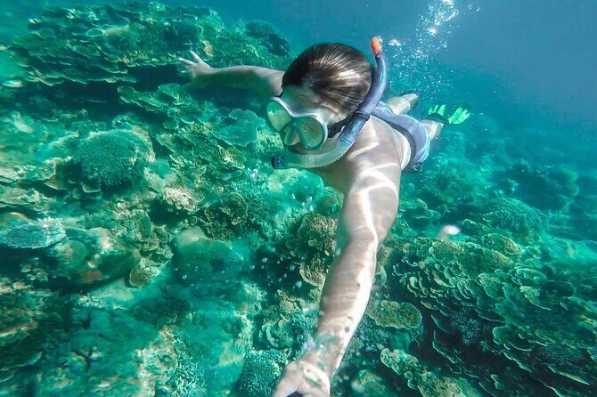 Cala Gonone Snorkeling in the Orosei Gulf - The Sum Up