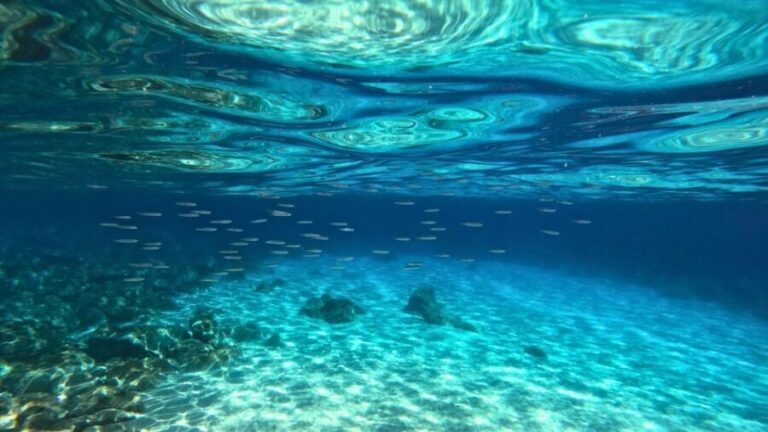 Cala Gonone: Snorkeling in the Orosei Gulf - An In-Depth Look at Cala Gonone’s Snorkeling Tour