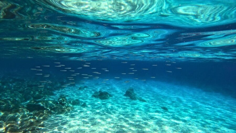 Cala Gonone: Snorkeling in the Orosei Gulf - An In-Depth Look at Cala Gonone’s Snorkeling Tour