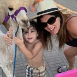 Calabrian Alpacas Sunset Beach Experiences Pizzo VV AlpacSelfies - A Closer Look at the Sunset Beach Alpaca Walk in Pizzo
