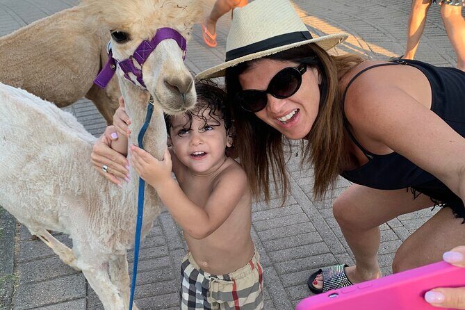 Calabrian Alpacas Sunset Beach Experiences Pizzo VV AlpacSelfies - A Closer Look at the Sunset Beach Alpaca Walk in Pizzo