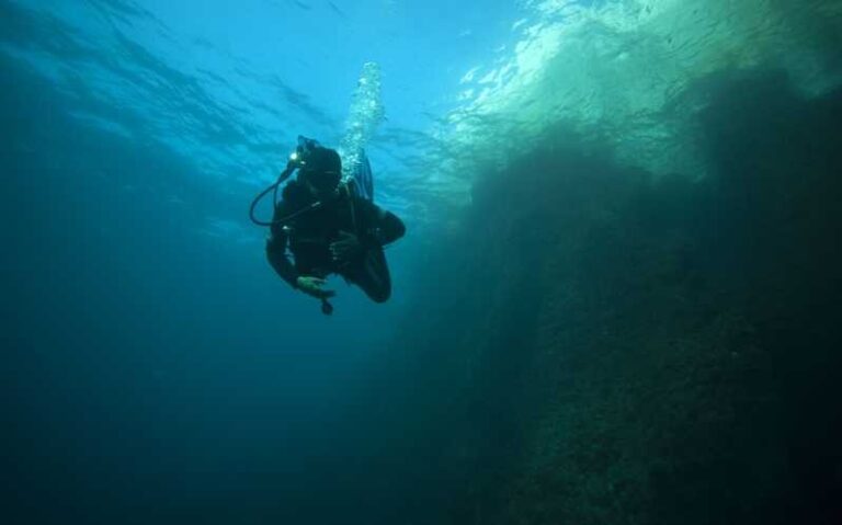 Calanques National Park Snorkel and Scuba Dive - Practical Details and Tips