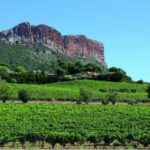 Calanques of Cassis, Aix-en-Provence & Wine Tasting Day Tour - A Deep Dive into the Experience