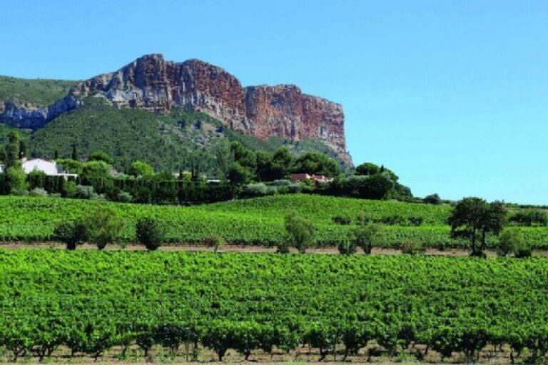 Calanques of Cassis, Aix-en-Provence & Wine Tasting Day Tour - A Deep Dive into the Experience