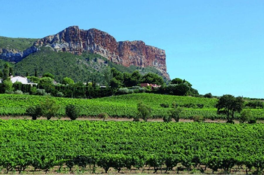 Calanques of Cassis, Aix-en-Provence & Wine Tasting Day Tour - A Deep Dive into the Experience