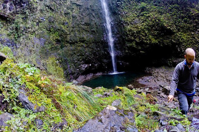 Caldeirão Verde Levada (PR 9) - Guided Madeira Levada Walk - An In-Depth Look at the Caldeirão Verde Levada Tour