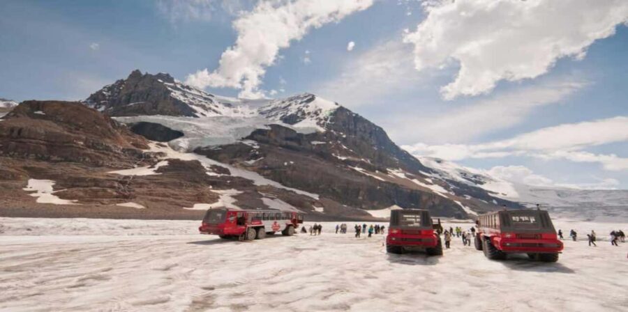 Calgary/Banff: Icefields Parkway & Columbia Icefield Tour - Key Points
