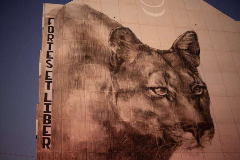 Calgary: Street Art & Craft Beer Walking Tour w/ Tastings - Why Choose This Tour?