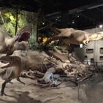 Calgary to Royal Museum | Drumheller  PRIVATE TOUR - FAQs