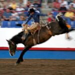 Calgary's Beltline District: a Smartphone Audio Walking Tour - Exploring the Heart of the District: Parks and Monuments