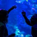 California Academy of Sciences NightLife Plus Admission - A Detailed Look at the California Academy of Sciences NightLife Plus Experience
