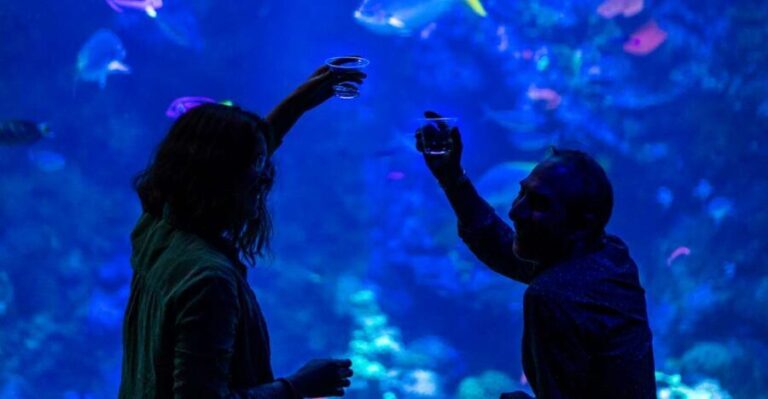 California Academy of Sciences NightLife Plus Admission - A Detailed Look at the California Academy of Sciences NightLife Plus Experience