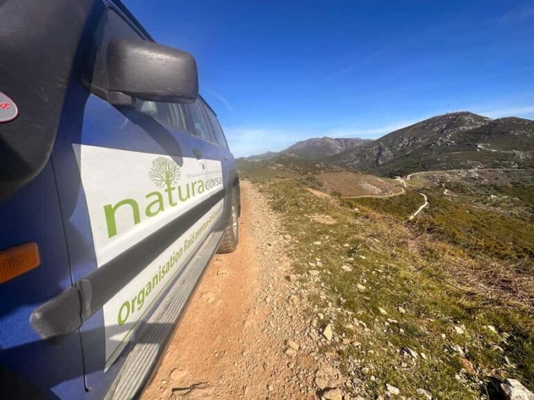 Calvi: Asco Valley 4x4 Day Tour with Guide - A Deep Dive into the Asco Valley 4x4 Tour