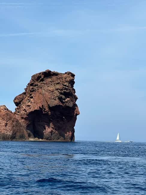 Calvi: guided boat tour for 48 people to Scandola - The Highlights of the Tour