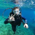 Calvi: PE12 Certificate Diving Lessons with Instructor - Why Choose This Experience?
