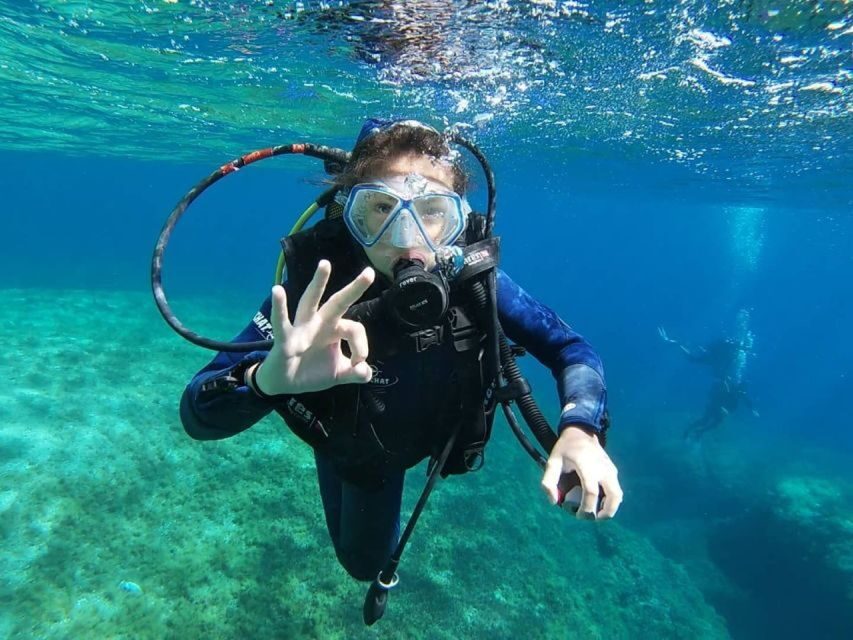 Calvi: PE20 Certificate Diving Lessons with Instructor - What the Experience Looks Like: A Typical Day in the Water