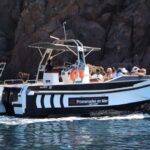 Calvi: Scandola and Girolata 6-Hour Boat Tour - An In-Depth Look at the Tour Experience