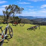 Camacha: Levada Trail e-Bike Guided Tour - Authentic Experiences and Real-World Feedback