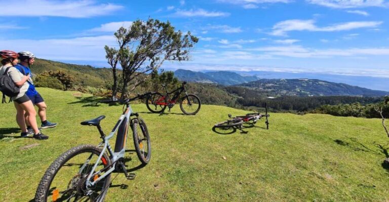 Camacha: Levada Trail e-Bike Guided Tour - Authentic Experiences and Real-World Feedback