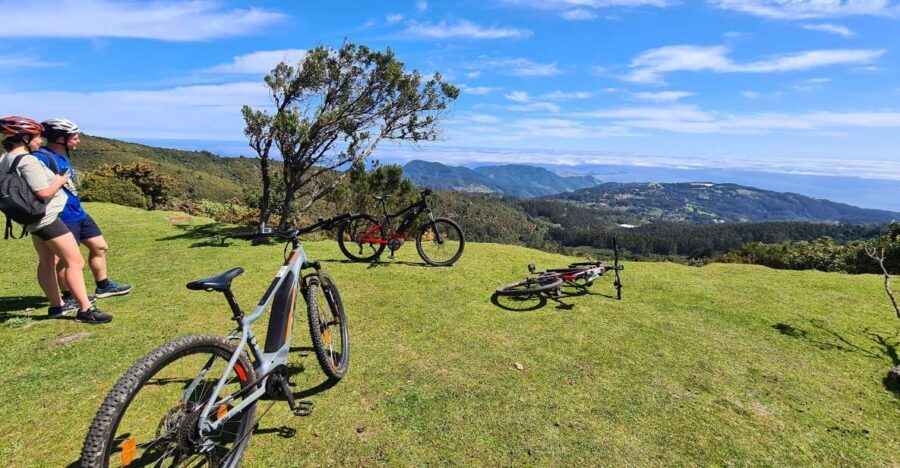 Camacha: Levada Trail e-Bike Guided Tour - Authentic Experiences and Real-World Feedback