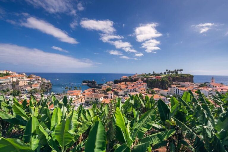 Câmara de Lobos: Private Fishing Village Tour by Tuk-Tuk - What Makes This Tour Stand Out?