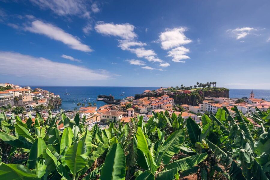 Câmara de Lobos: Private Fishing Village Tour by Tuk-Tuk - What Makes This Tour Stand Out?