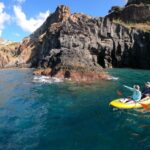 Câmara de Lobos: Private Guided Kayaking Tour in Madeira - The Experience of a Private Guided Tour