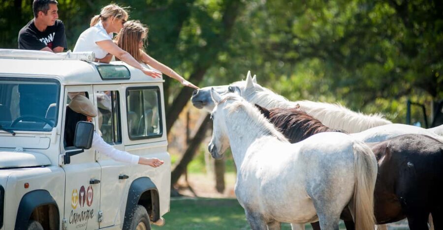 Camargue: Half-Day 4x4 Guided Safari Adventure - The Sum Up: Who Is This Tour For?