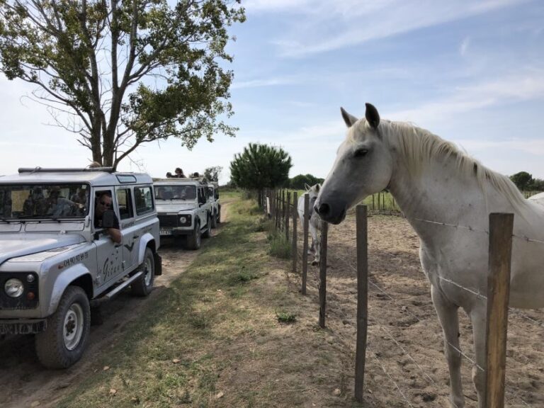 Camargue: Safari from Saintes-Maries-de-la-Mer - Who Should Consider This Tour?