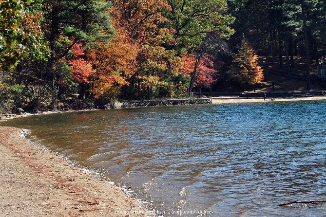 Cambridge, Lexington, & Concord: Private Revolutionary War Tour - The Sum Up