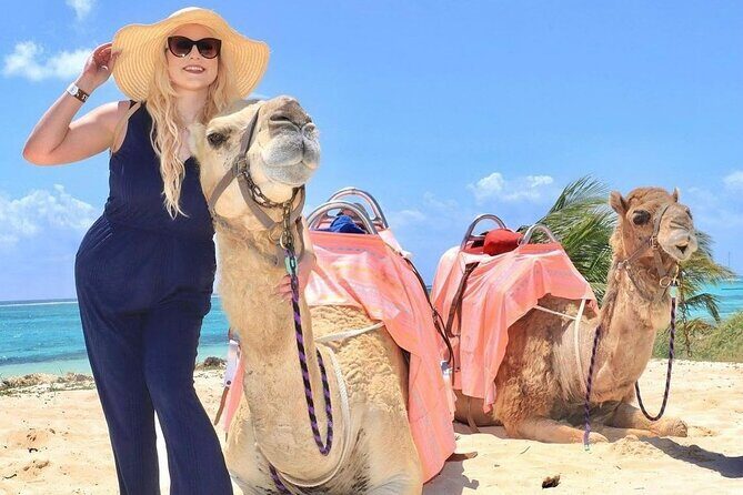 Camel Expedition and Beach Club In Riviera Maya - A Consideration to Keep in Mind