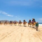 Camel Ride & ATV Combo in Migriño, Mexico - FAQs