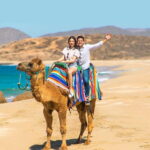 Camel Ride Beach and Desert Adventure. - Who Will Love This Tour?