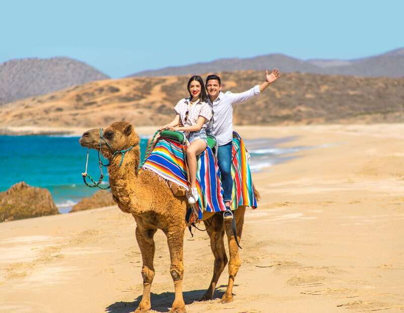 Camel Ride Beach and Desert Adventure. - Who Will Love This Tour?