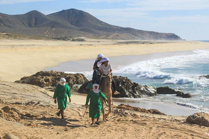 Camel Ride & Encounter at Los Cabos - FAQ