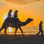 Camel Ride Experience in Los Cabos with Pick up and Lunch - A Detailed Look at the Camel Ride Experience in Los Cabos