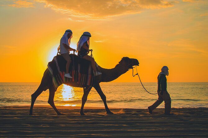 Camel Ride Experience in Los Cabos with Pick up and Lunch - A Detailed Look at the Camel Ride Experience in Los Cabos