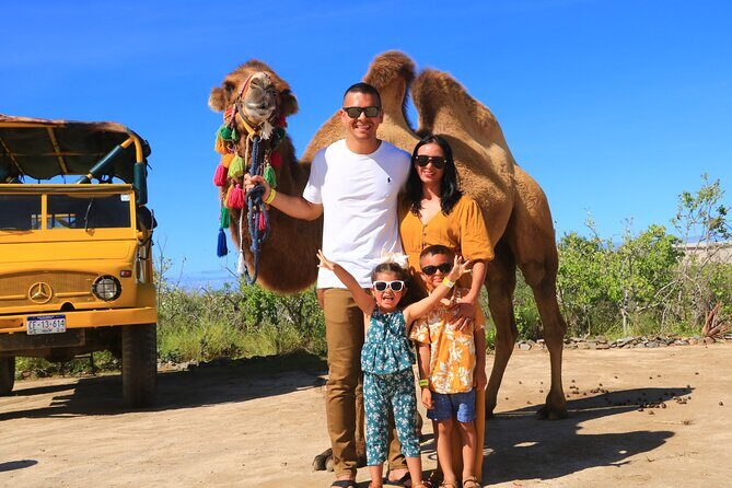 Camel riding experience on the shores of the Pacific Ocean - Detailed Breakdown of the Itinerary
