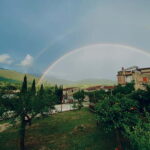 Camerota: Guided wine tasting - What Makes It Worthwhile?