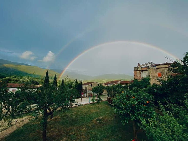 Camerota: Guided wine tasting - What Makes It Worthwhile?