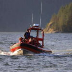Campbell River: 6-Hour Whale Watching Boat Tour - Why This Tour Works for Travelers