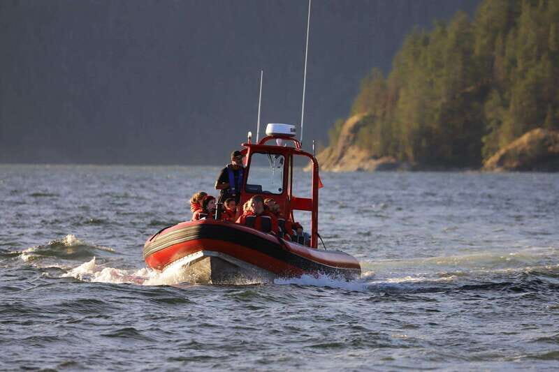 Campbell River: 6-Hour Whale Watching Boat Tour - Why This Tour Works for Travelers