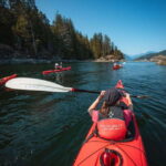 Campbell River: Kayaking and Whale Watching Tour - The Value Proposition