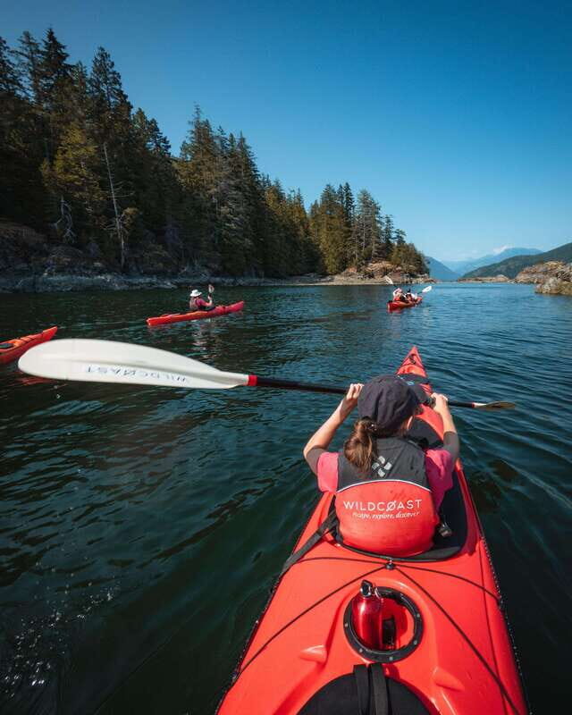 Campbell River: Kayaking and Whale Watching Tour - The Value Proposition